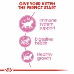 Royal Canin Kitten - 4KG - Image 5