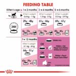 Royal Canin Kitten - 4KG - Image 6